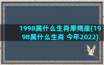 1998属什么生肖摩羯座(1998属什么生肖 今年2022)